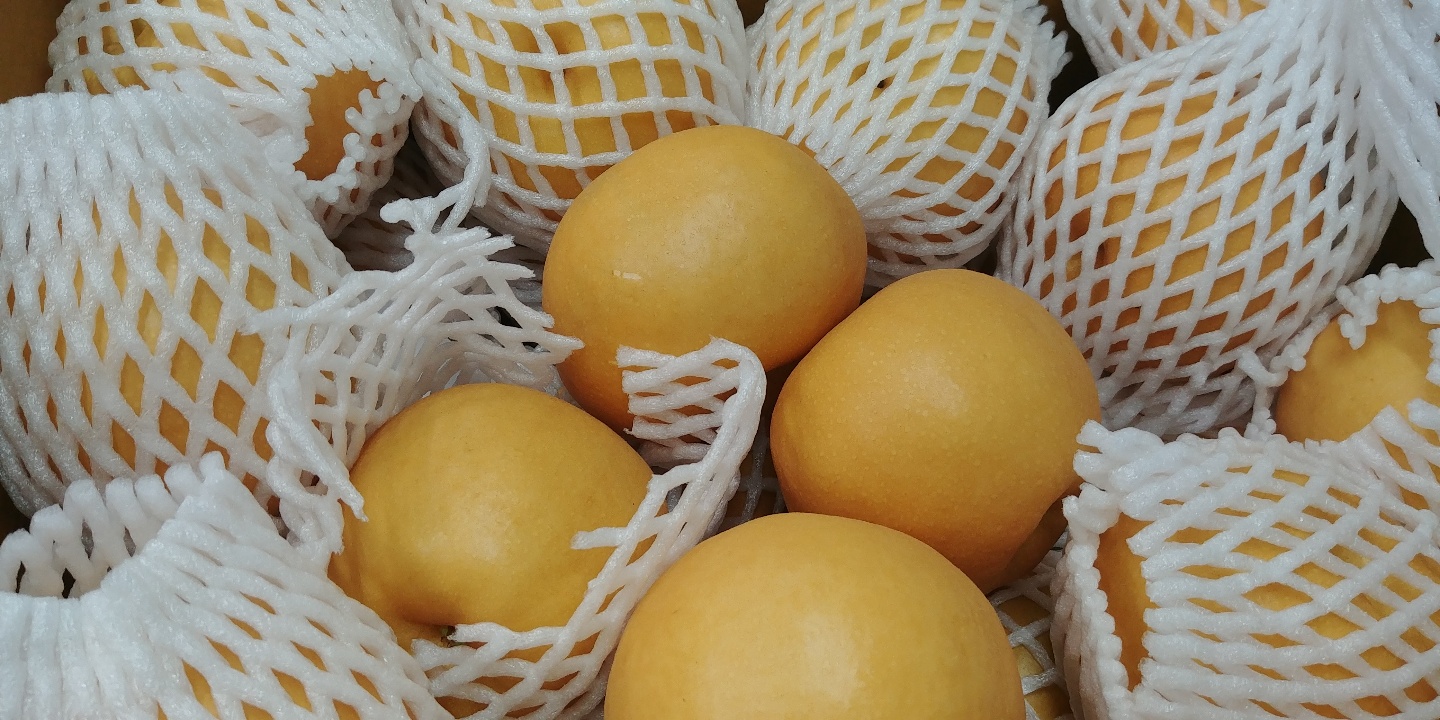 KakaoTalk_20201026_114544095_04
