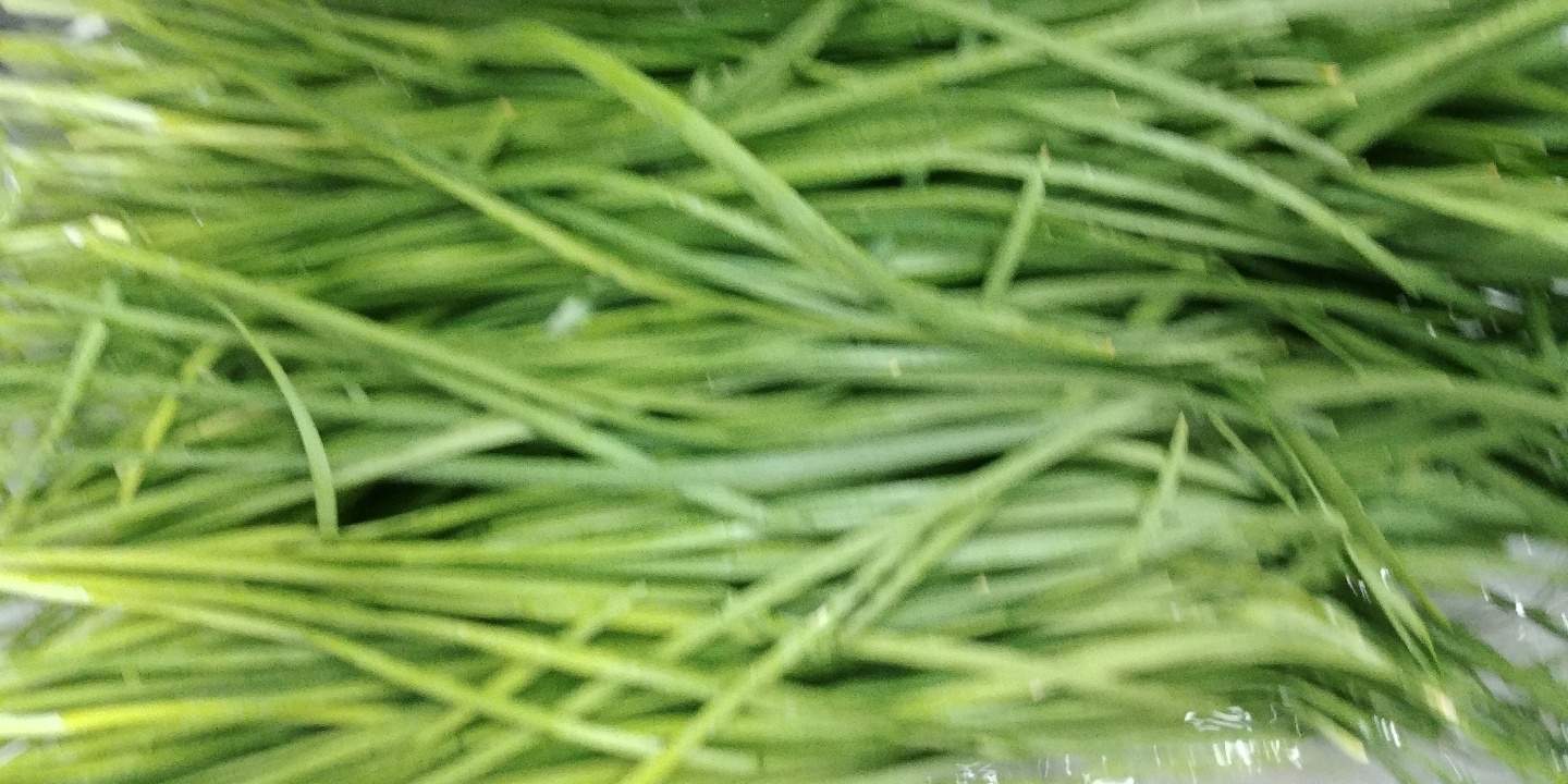 KakaoTalk_20201008_111657795_03 - 복사본 - 복사본 - 복사본 - 복사본